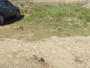 Terreno en venta en Tizayuca Hgo