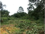 Terreno en venta en Tlacolulan, Veracruz de Ignacio de...