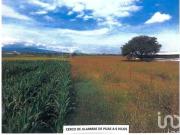 Terreno en Venta en Tlajomulco de Zuñiga, Guadalajara...