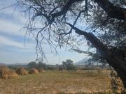 TERRENO EN VENTA EN TLAJOMULCO DE ZUÑIGA, LOMAS DE TEJEDA