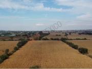 Terreno en Venta en TLAJOMULCO EN COLONIA LOMAS DE TEJEDA