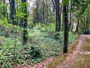 Terreno en Venta en Tlalpuente ? 2,607 m? de Naturaleza Pura