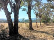 Terreno en venta en Tlaxinacalpan, Tepeji del Río de...