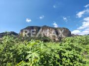 Terreno en Venta en Tlayacapan