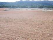 Terreno en Venta en Tobarra