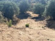 Terreno en Venta en Toledo