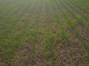 Terreno en Venta en Toledo