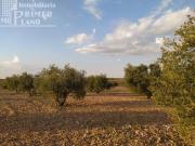 Terreno en Venta en Tomelloso