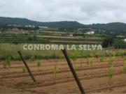 Terreno en Venta en Tordera