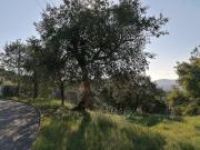 Terreno en venta en Tordera, de 576 m² por 55.000