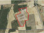 Terreno en Venta en Tordesillas