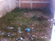 Terreno en venta en Torredonjimeno, Torredonjimeno