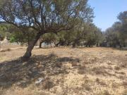 Terreno en Venta en Torremolinos