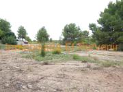 Terreno en venta en Torrent, Santa Apolonia