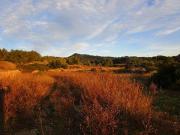 Terreno en Venta en Tortosa