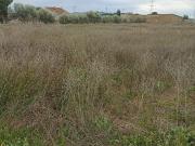 Terreno en Venta en Totana