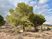 Terreno en venta en Totana