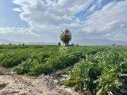 Terreno en Venta en Totana