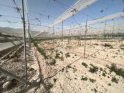 Terreno en venta en Totana