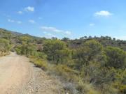 Terreno en Venta en Totana