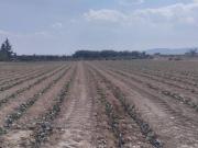 Terreno en Venta en Totana