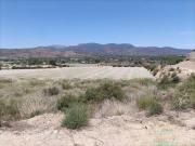 Terreno en Venta en Totana