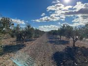 Terreno en venta en Totana, EL PARETON