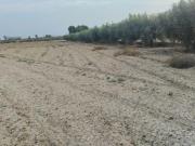 Terreno en venta en Totana, La Ñorica