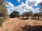 Terreno en Venta en Traiguera