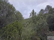 Terreno en Venta en Trillo