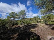 Terreno en Venta en Trillo