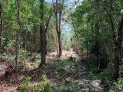 Terreno en venta en Tulum Centro, Cancún, Quintana Roo