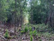 Terreno en venta en Tulum Centro, Cancún, Quintana Roo