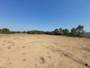 Terreno en Venta en Turís