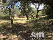 Terreno en Venta en Ubrique