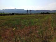 Terreno en Venta en Ulldecona
