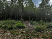 Terreno en venta en urbanización Les Rovires, Cervelló,...