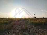 Terreno en Venta en Utrera