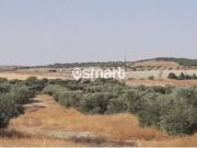 Terreno en Venta en Valdemoro