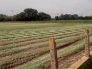 Terreno en Venta en València