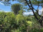 Terreno en venta en Valenciana