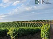 Terreno en Venta en Valladolid
