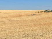 Terreno en Venta en Valladolid