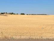 Terreno en Venta en Valladolid