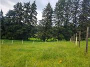 Terreno en Venta en Valle de Bravo Zona De Acatitlan