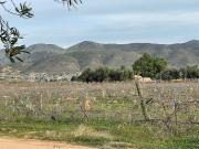 Terreno en venta en Valle de Guadalupe, Ensenada, Baja...