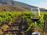 Terreno en Venta en Valle de Guadalupe Ensenada, Baja...