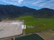 Terreno en venta en Valle de Guadalupe, Ensenada, Baja...