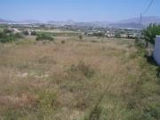 Terreno en Venta en Valle de Losa