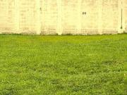 Terreno en Venta en Valle Imperial, Zapopan, Jalisco